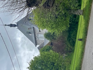 IMG 0729