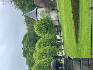 IMG 0742